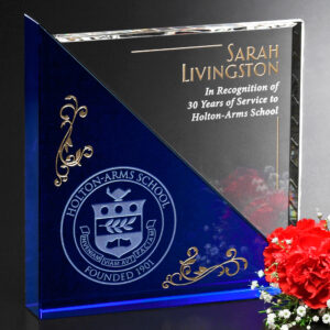 Acclaim Award, Blue Optic