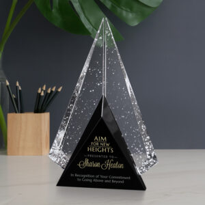 Archer Award, Optic