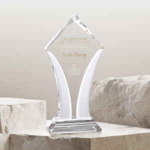 Aurora Award, Optic