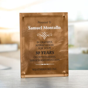 Bronze Alloy Plaque, Optic & Metal