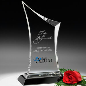 Coburn Award, Optic