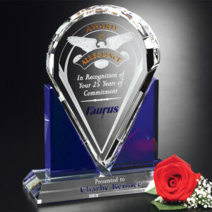 Distinction Award, Optic