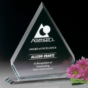 Dynasty Award, Optic