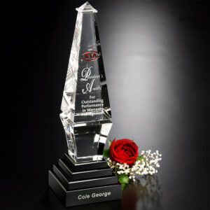 Epitome Award, Optic