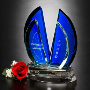 Flight Indigo Award, Blue Optic