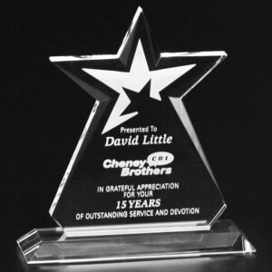 Guardian Award, Optic