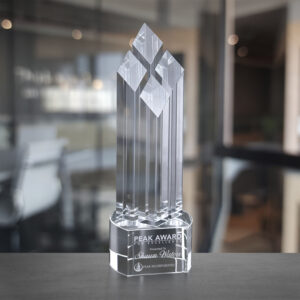 Hayworth Award, Optic