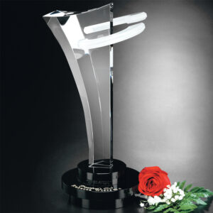 Innovation Award, Optic