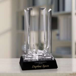 Interlachen Award, Optic