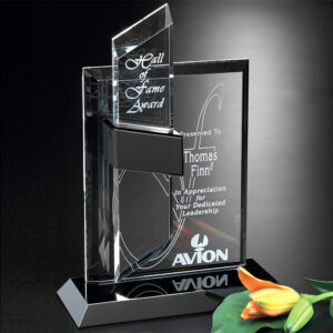 Intrepid Award, Optic & Wood