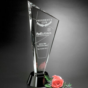 Invincible Award, Optic