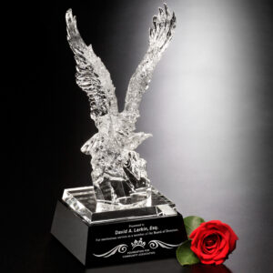 Journey Eagle, Optic