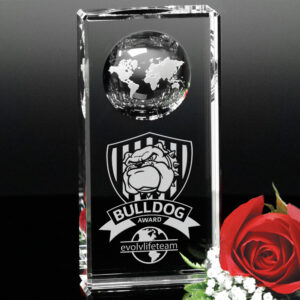Kendall Global Award, Optic