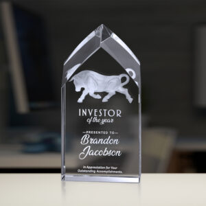 Ludlow Award, Optic