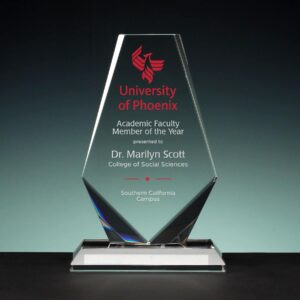 Manhattan Award, Optic