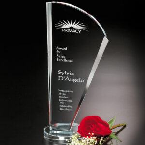 Merit Award, Optic