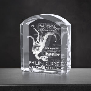 Morton Award, Optic