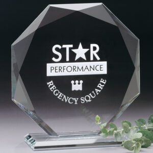 Omni Award, Optic