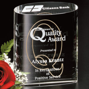 Ovation Award, Optic