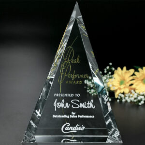Palisade Award, Optic