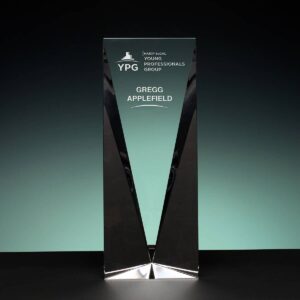 Panel Award, Optic