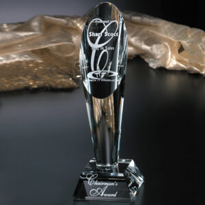 Performer Award, Optic
