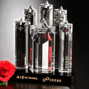 Prominence Award, Optic