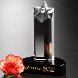 Prominence Star, Optic