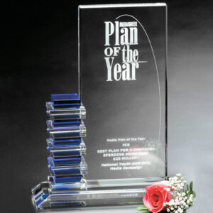 Resolute Award, Blue Optic