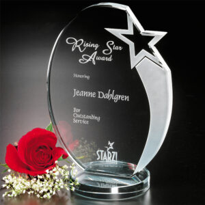 Royal Star Award, Optic