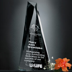 Serenity Award, Optic