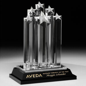Starburst Award, Optic