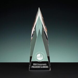 Steeple Award, Optic