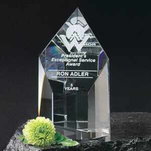 Summit Award, Optic