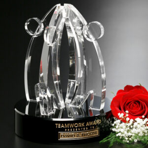 Teamwork Award, Optic