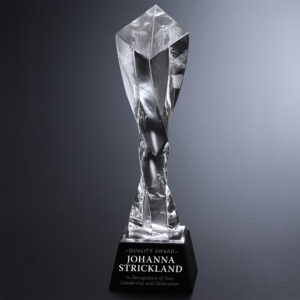 Twisted Diamond Optic Award, Optic