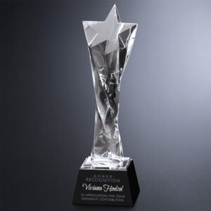 Twisted Star Optic Award, Optic