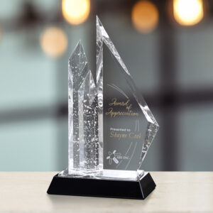 Valencia Award, Optic