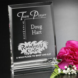 Ventura Award, Optic