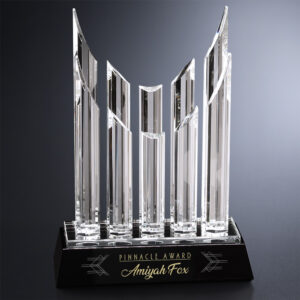 Vestige Award, Optic