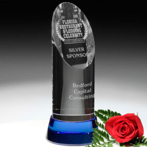 Vinton Indigo Award, Blue Optic