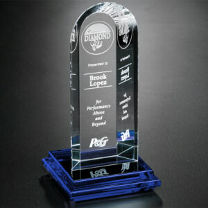 Vision Award, Optic