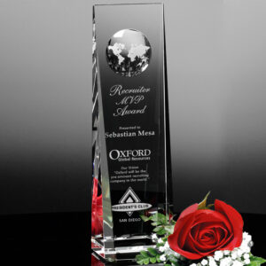 Westby Global Award, Optic
